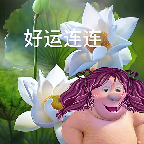 西和县空调维修